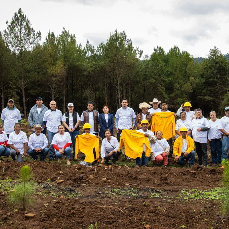 Rehabilitacion-forestal-y-ambiental-en-Iricuaro-Michoacan Rehabilitacion-forestal-y-ambiental-en-Iricuaro-Michoacan